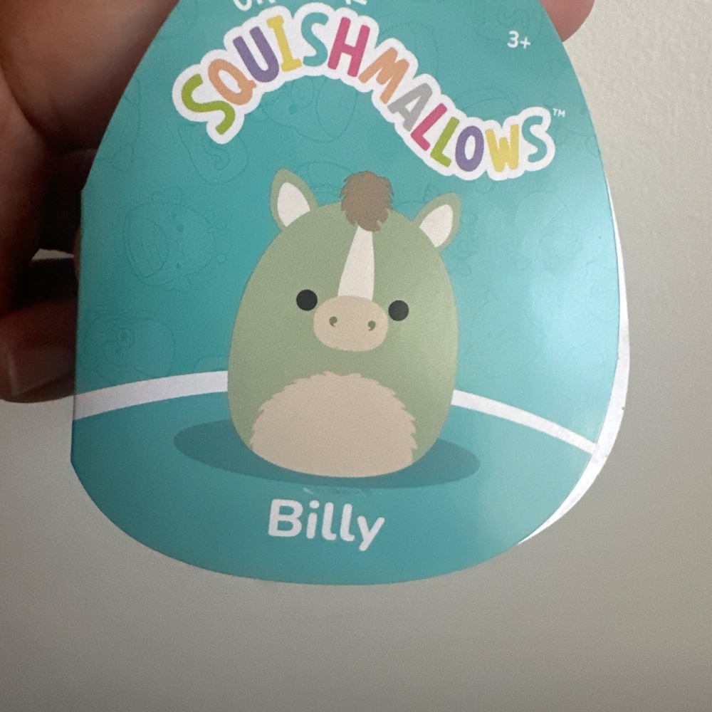 2 Squishmallows Billy keychains - Picture 2 of 5